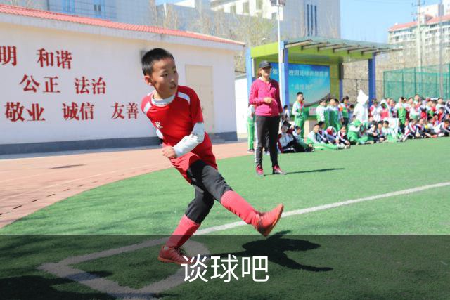 谈球吧公司介绍图